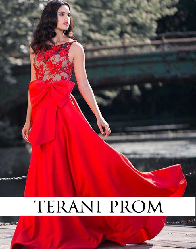 terani prom dresses